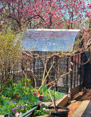 greenhouse